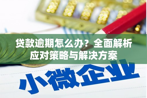 港南贷款逾期怎么办？全面解析应对策略与解决方案