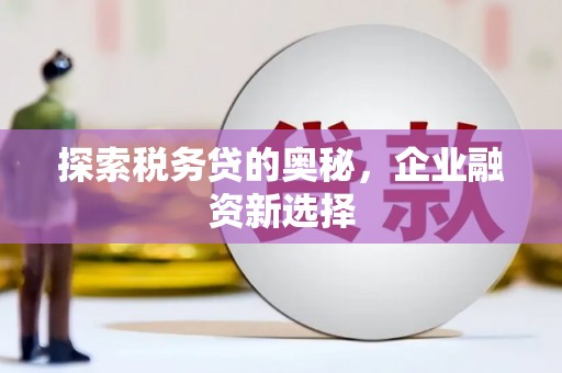 港南探索税务贷的奥秘，企业融资新选择