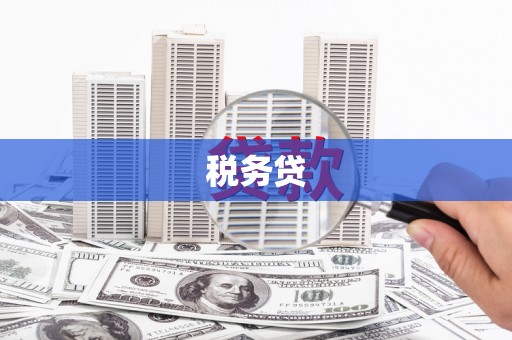 港南税务贷