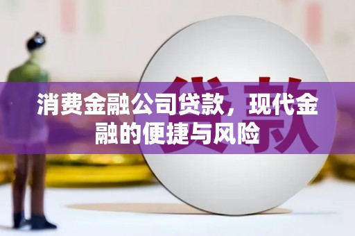 港南消费金融公司贷款，现代金融的便捷与风险