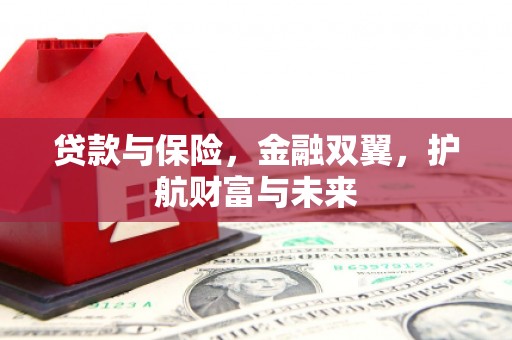 港南贷款与保险，金融双翼，护航财富与未来