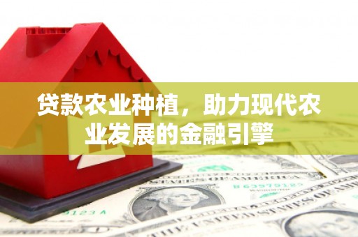 港南贷款农业种植，助力现代农业发展的金融引擎