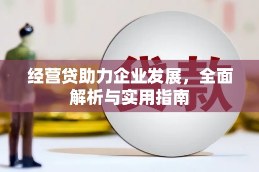 港南经营贷助力企业发展，全面解析与实用指南