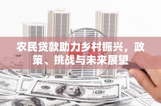 港南农民贷款助力乡村振兴，政策、挑战与未来展望