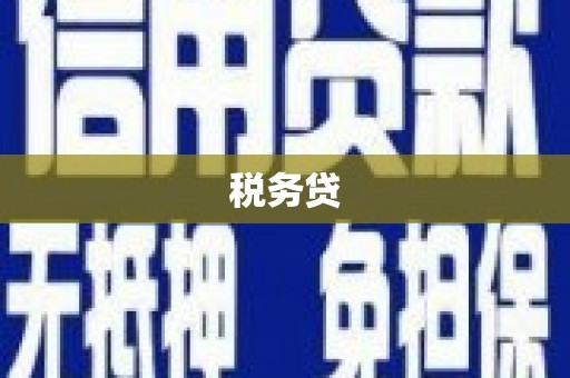 港南税务贷