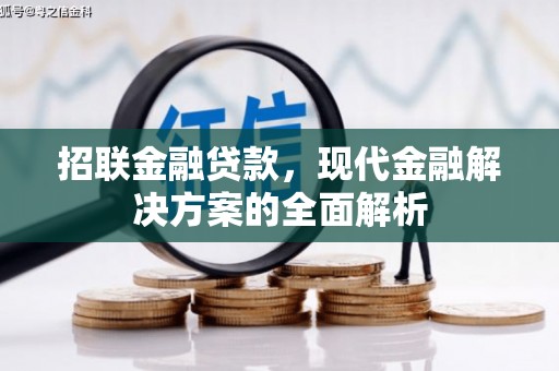 港南招联金融贷款，现代金融解决方案的全面解析