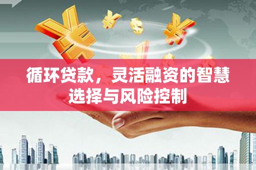 港南循环贷款，灵活融资的智慧选择与风险控制