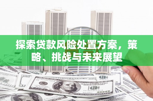 港南探索贷款风险处置方案，策略、挑战与未来展望