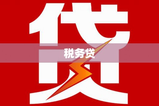 港南税务贷