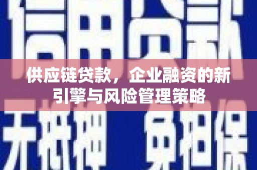 港南供应链贷款，企业融资的新引擎与风险管理策略