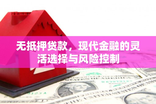 港南无抵押贷款，现代金融的灵活选择与风险控制