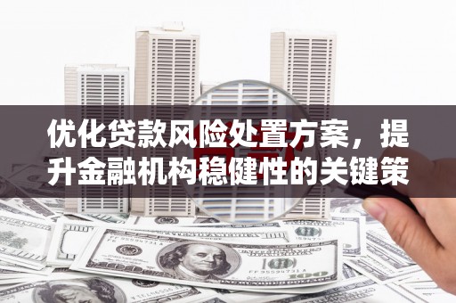 港南优化贷款风险处置方案，提升金融机构稳健性的关键策略
