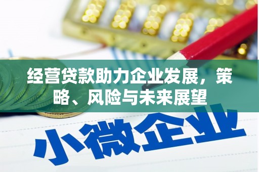 港南经营贷款助力企业发展，策略、风险与未来展望