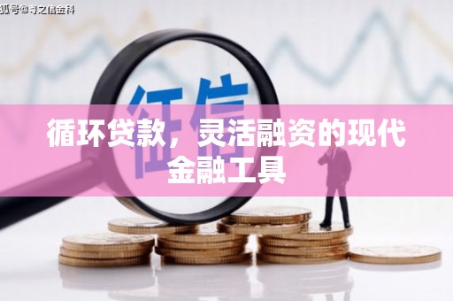 港南循环贷款，灵活融资的现代金融工具
