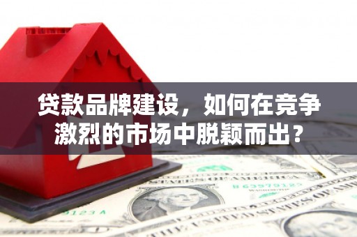 港南贷款品牌建设，如何在竞争激烈的市场中脱颖而出？