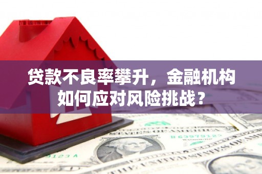 港南贷款不良率攀升，金融机构如何应对风险挑战？