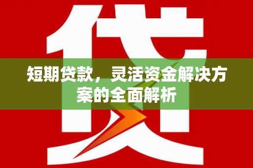 港南短期贷款，灵活资金解决方案的全面解析