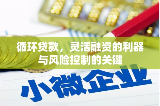 港南循环贷款，灵活融资的利器与风险控制的关键