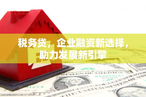 港南税务贷，企业融资新选择，助力发展新引擎