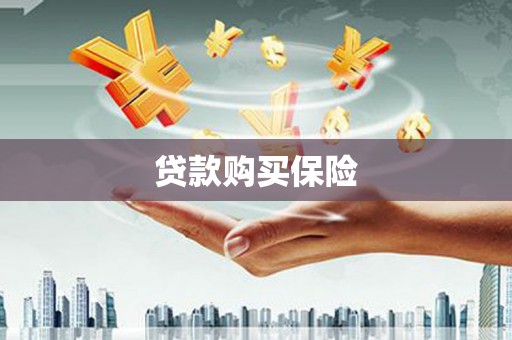港南贷款购买保险