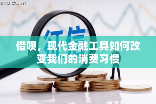 港南借呗，现代金融工具如何改变我们的消费习惯