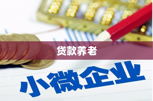 港南贷款养老