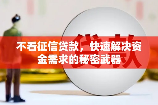 港南不看征信贷款，快速解决资金需求的秘密武器