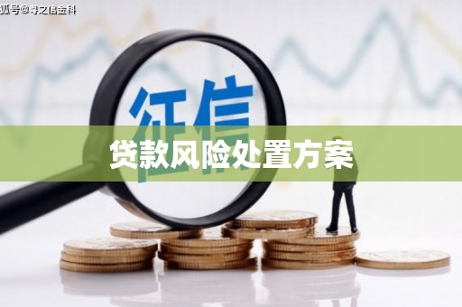港南贷款风险处置方案