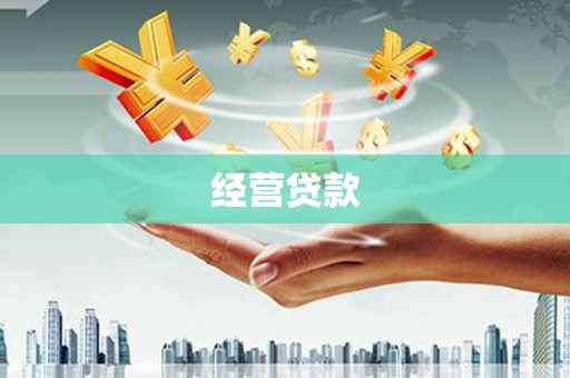 港南经营贷款