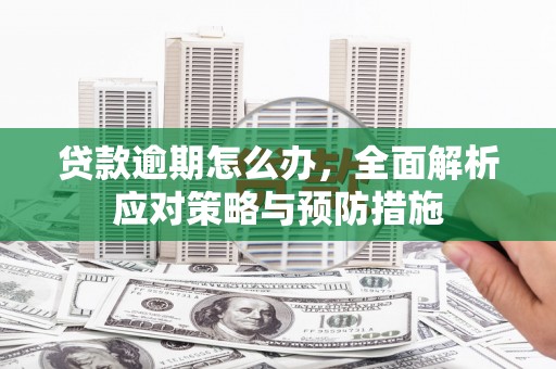 港南贷款逾期怎么办，全面解析应对策略与预防措施