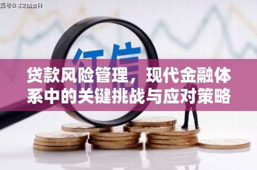 港南贷款风险管理，现代金融体系中的关键挑战与应对策略