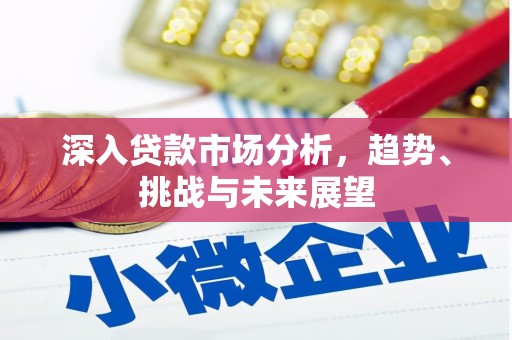 港南深入贷款市场分析，趋势、挑战与未来展望