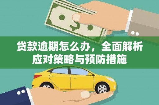 港南贷款逾期怎么办，全面解析应对策略与预防措施