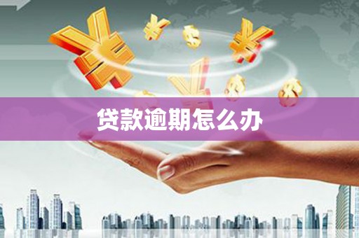 港南贷款逾期怎么办