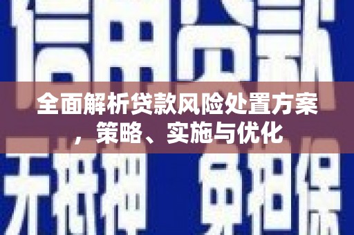 港南全面解析贷款风险处置方案，策略、实施与优化