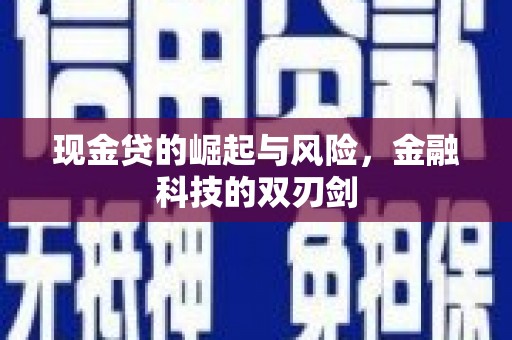 港南现金贷的崛起与风险，金融科技的双刃剑