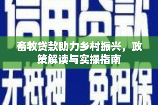 港南畜牧贷款助力乡村振兴，政策解读与实操指南