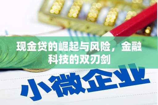 港南现金贷的崛起与风险，金融科技的双刃剑