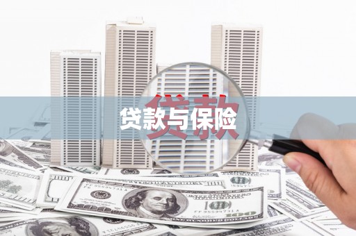港南贷款与保险