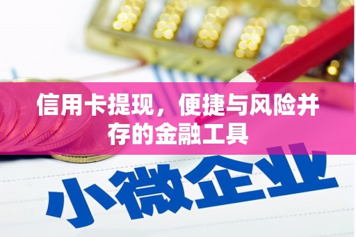 港南信用卡提现，便捷与风险并存的金融工具