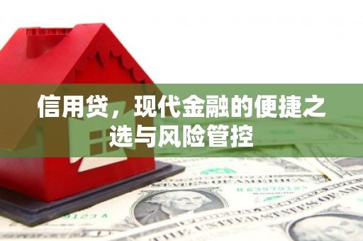 港南信用贷，现代金融的便捷之选与风险管控