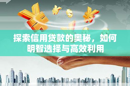 港南探索信用贷款的奥秘，如何明智选择与高效利用
