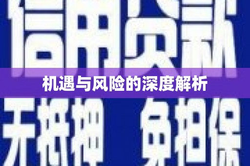 港南机遇与风险的深度解析
