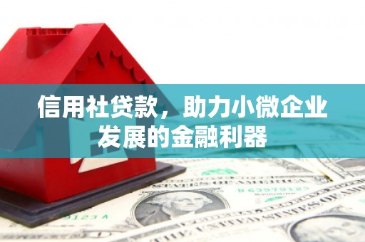 港南信用社贷款，助力小微企业发展的金融利器