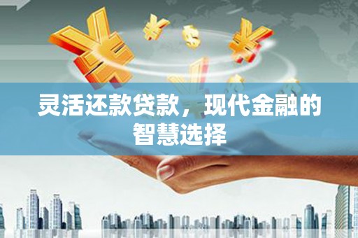 港南灵活还款贷款，现代金融的智慧选择