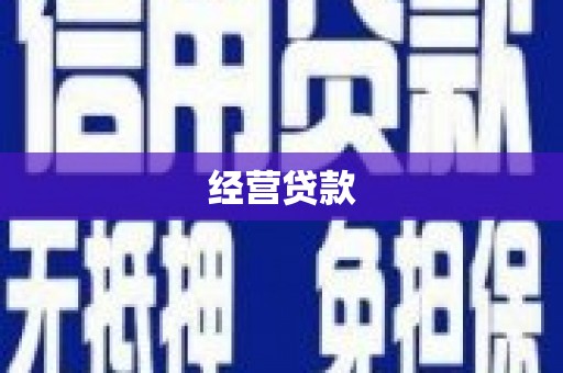 港南经营贷款