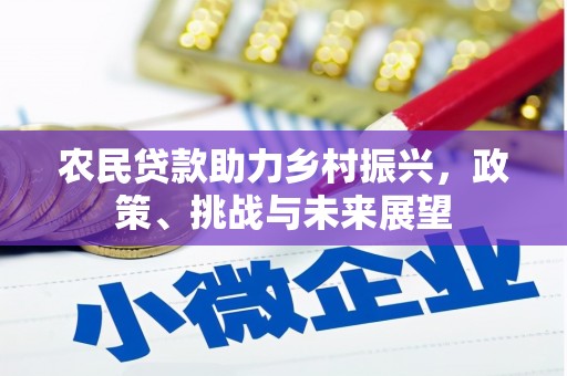 港南农民贷款助力乡村振兴，政策、挑战与未来展望