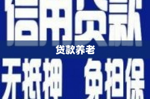 港南贷款养老