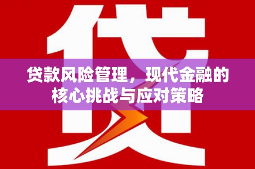 港南贷款风险管理，现代金融的核心挑战与应对策略