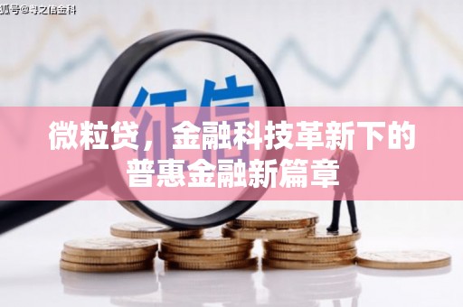 港南微粒贷，金融科技革新下的普惠金融新篇章